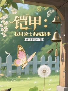 铠甲：我用骑士系统搞事