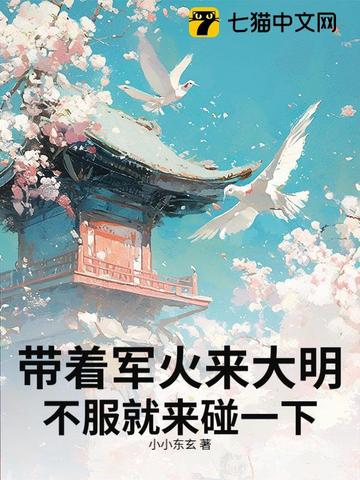 带着军火来大明，不服就来碰一下