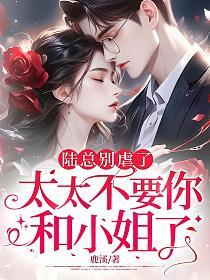 陆总别虐了，太太不要你和小姐了