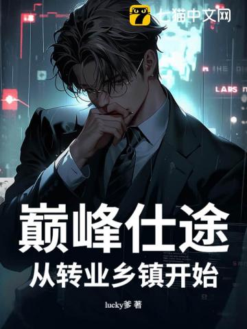 巅峰仕途：从转业乡镇开始