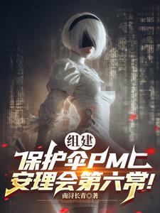 组建保护伞PMC，安理会第六常
