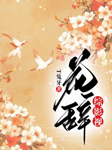 综影视：花辞