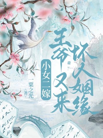 小女二嫁，王爷又来坏人姻缘
