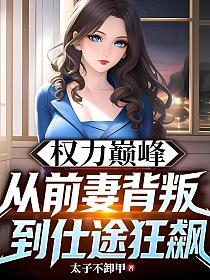 权力巅峰，从前妻背叛到仕途狂飙