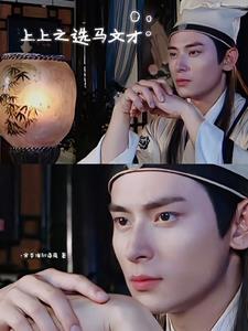 上上之选马文才