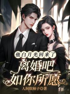 他白月光回来了，离婚吧如你所愿