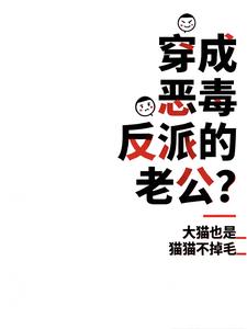 穿成恶毒反派的老公