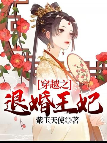 穿越之退婚王妃