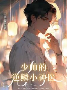 少帅的逆鳞小神医