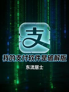 我的支付软件是破解版