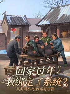 回家过年，我绑定了系统？