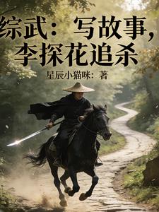 综武：写故事，李探花追杀