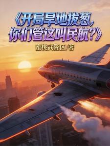 开局旱地拔葱，你们管这叫民航？